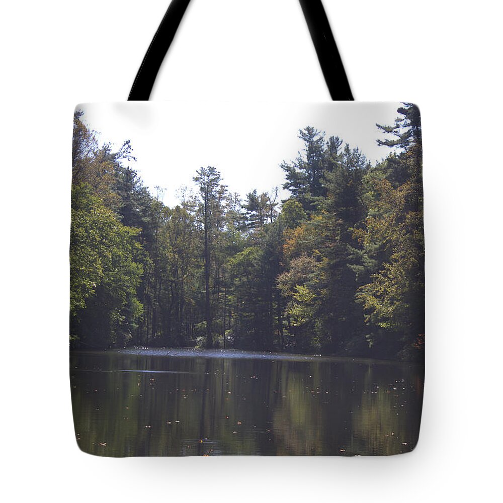 Lake Tote Bag featuring the photograph Reflections by Ali Baucom