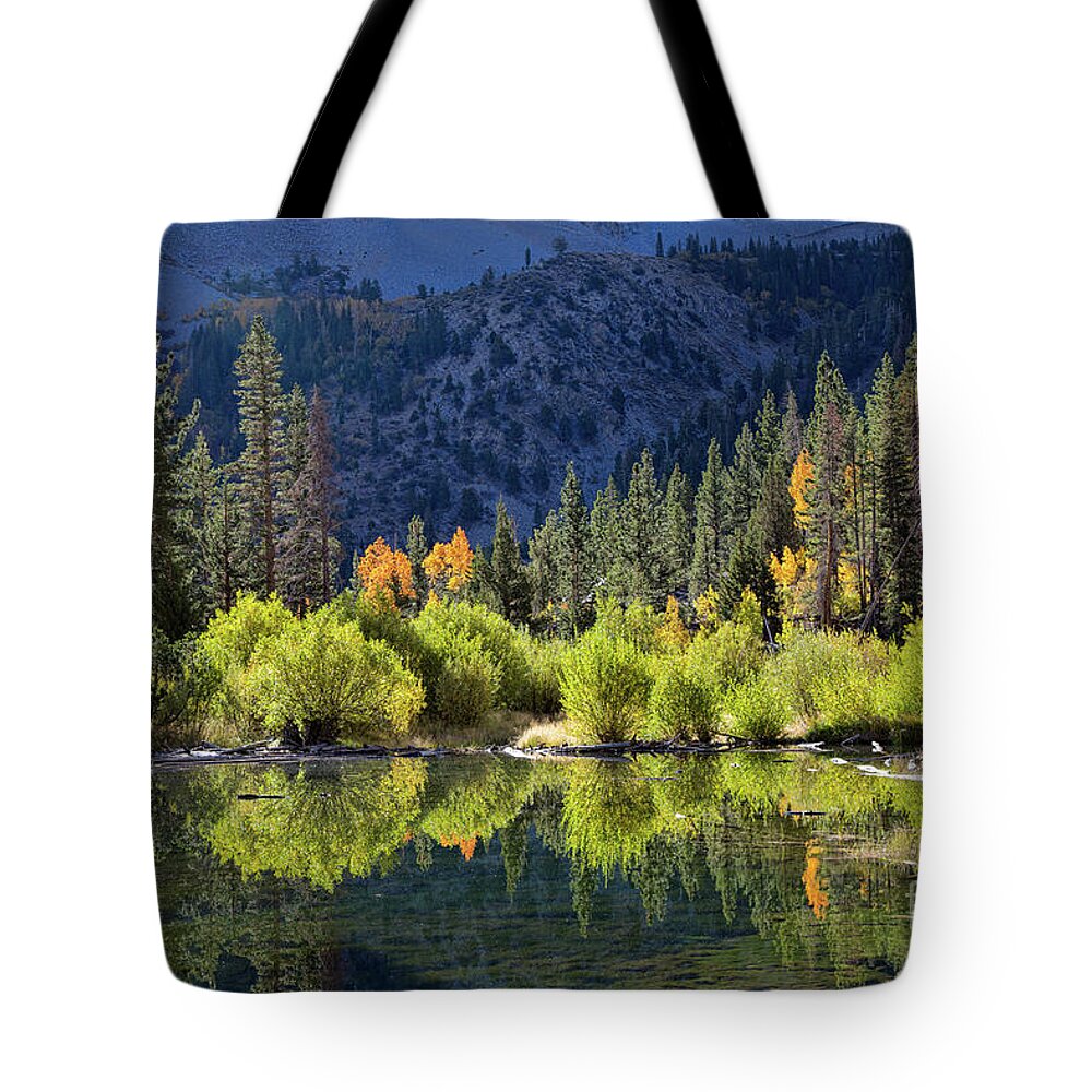 Eastern Sierra Tote Bag featuring the photograph Reflections At The Beaver Pond by Mimi Ditchie