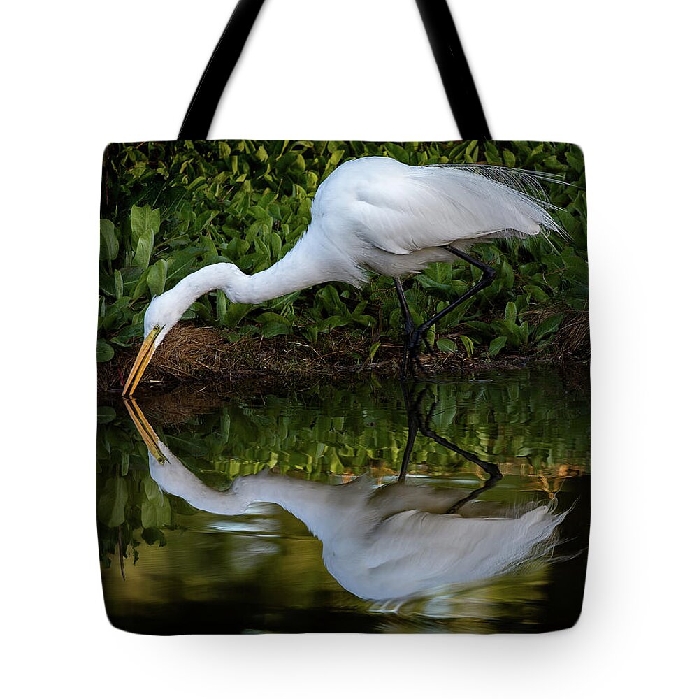 Bird Tote Bag featuring the photograph Reflections by Bruce Bonnett