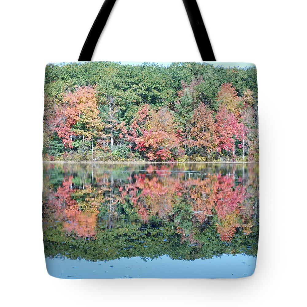 Eames Pond Tote Bag featuring the photograph Reflections by Catherine Gagne