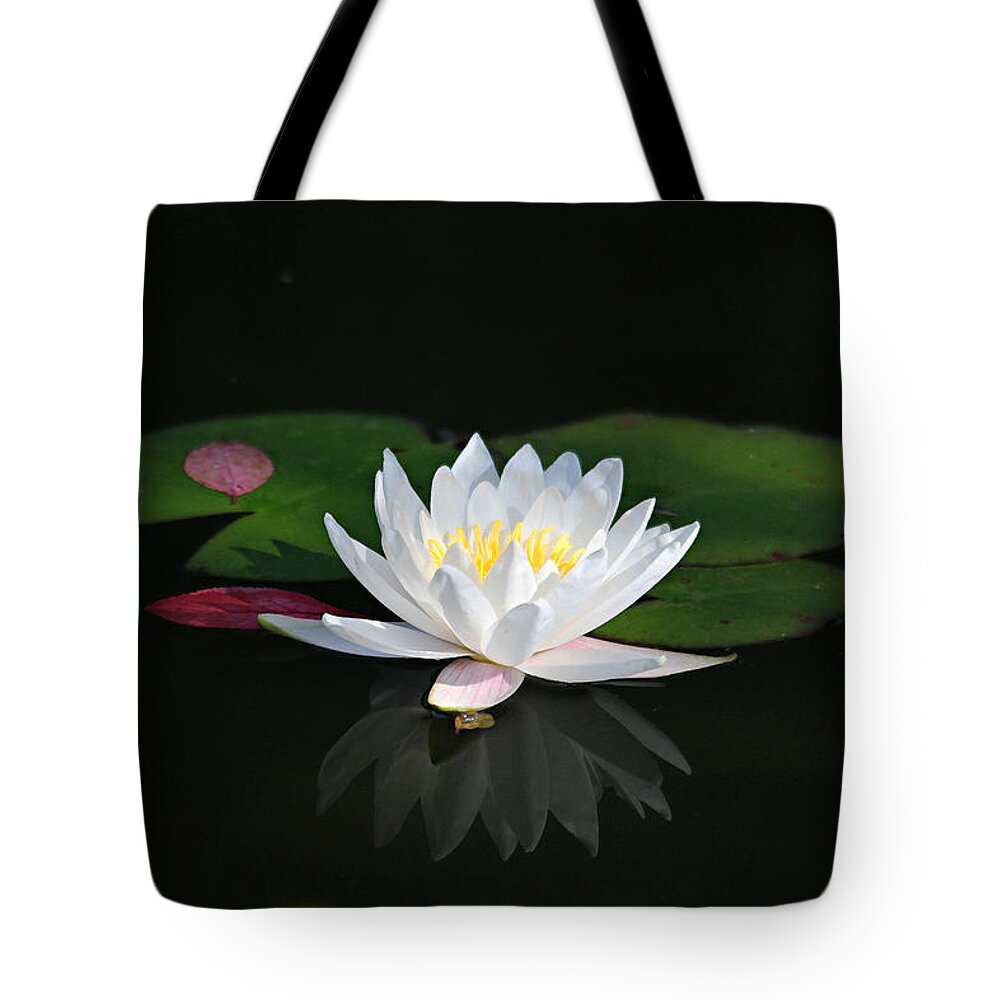 Lily Tote Bag featuring the photograph Reflections of a Water Lily by Trina Ansel