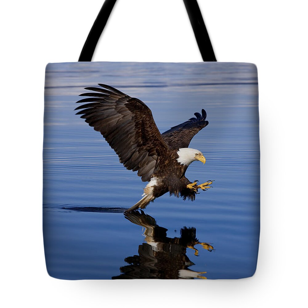 Afternoon Tote Bag featuring the photograph Reflections of Eagle by John Hyde - Printscapes