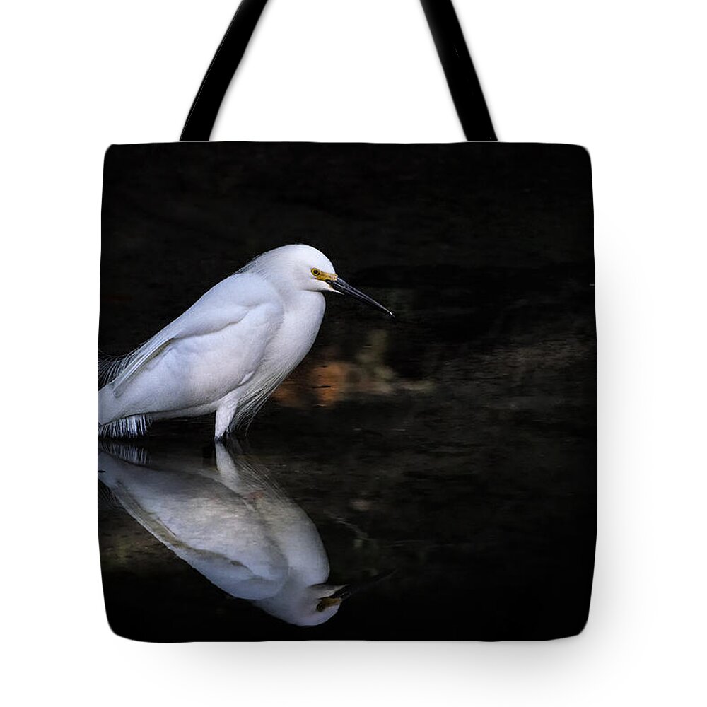 Crystal Yingling Tote Bag featuring the photograph Reflections Of......... by Ghostwinds Photography