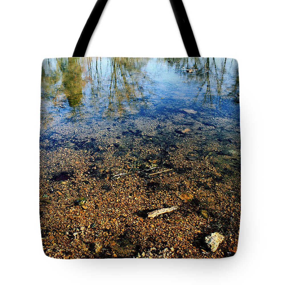 Landscape Tote Bag featuring the photograph Reflections of Nature by Todd Blanchard