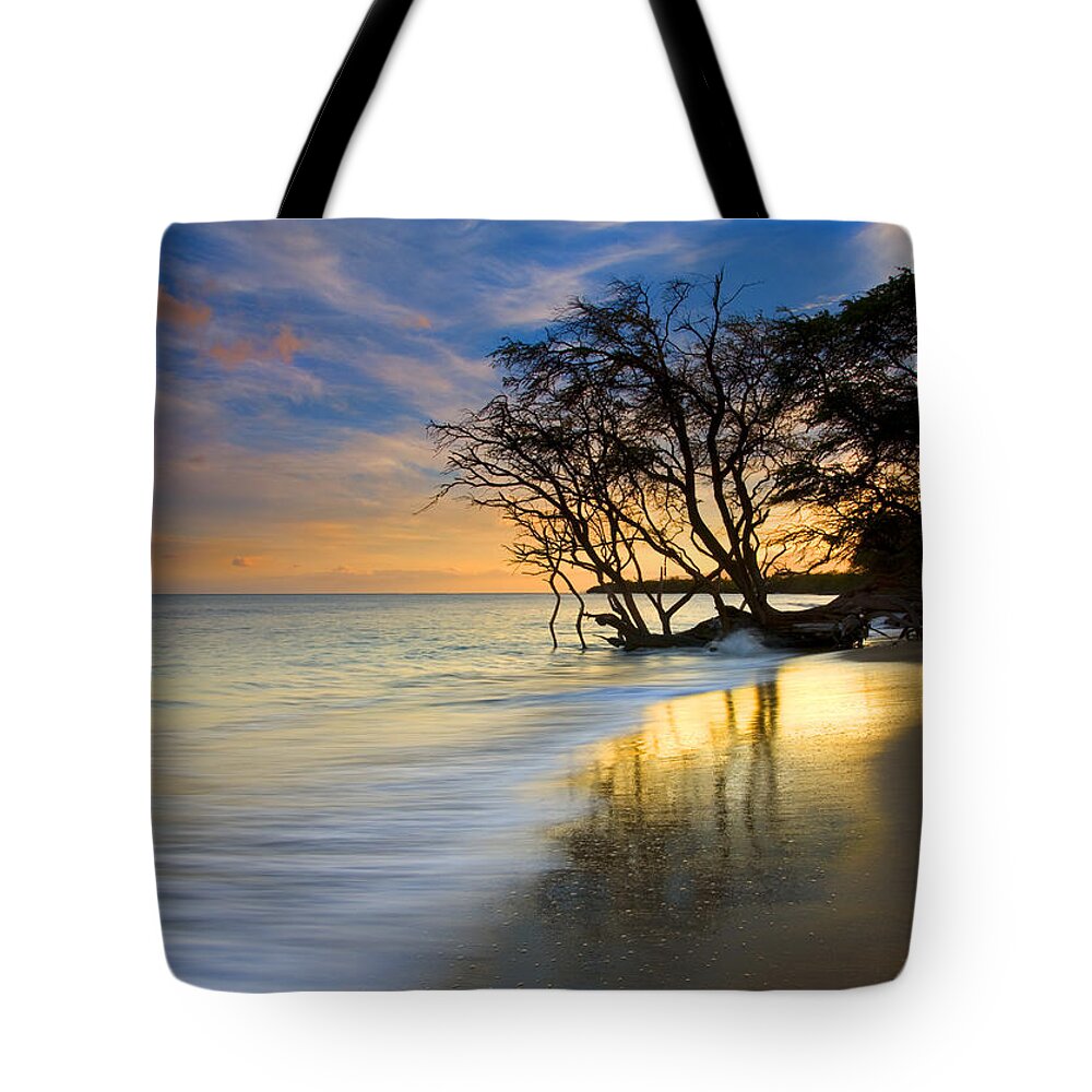 Waves Tote Bag featuring the photograph Reflections of PAradise by Michael Dawson