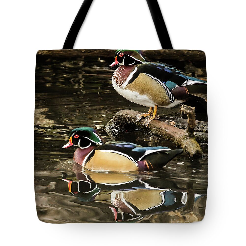 2016 Tote Bag featuring the photograph Reflections of You and Me Wildlife Art by Kaylyn Franks by Kaylyn Franks