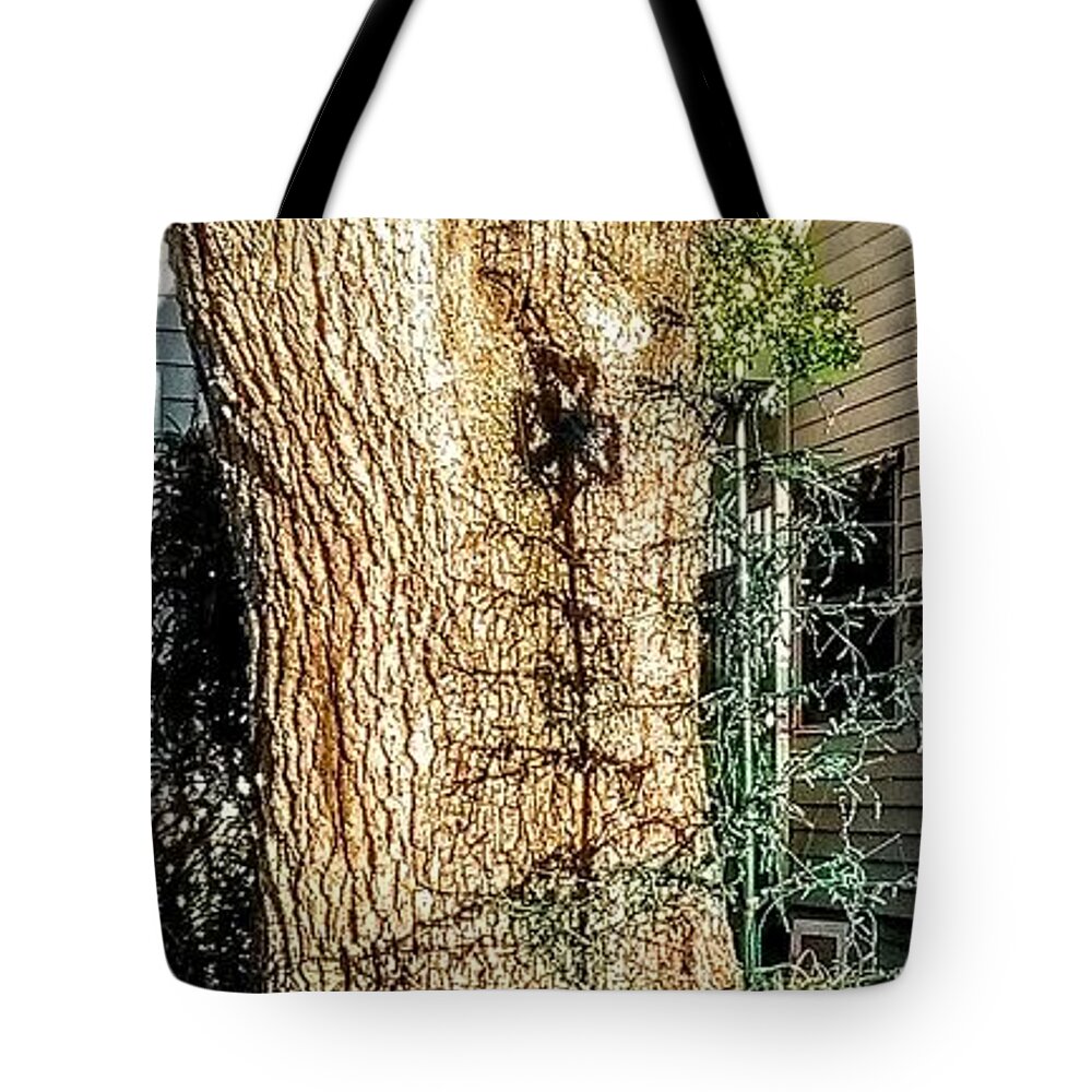 Shamrock Tote Bag featuring the photograph Reflections by Suzanne Berthier