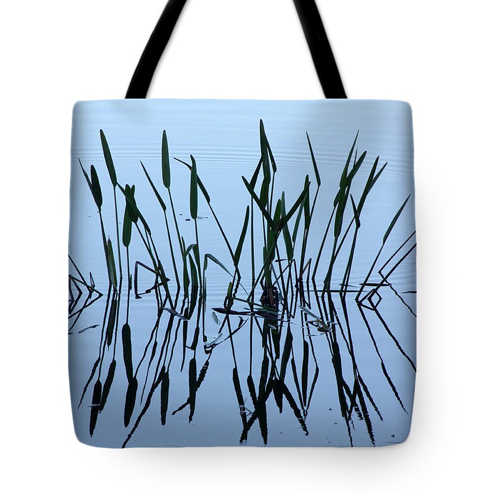 Pond Tote Bag featuring the photograph Reflections by Tamivision Studios