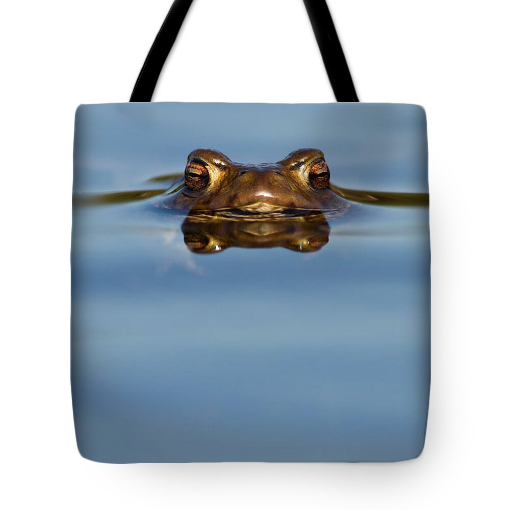 Reflections - Toad in a Lake Tote Bag for Sale by Roeselien Raimond
