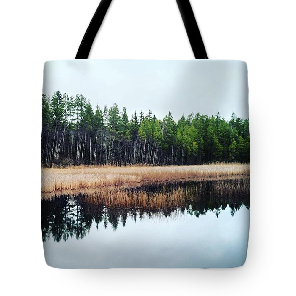  Tote Bag featuring the photograph Reflective - Happy Thanksgiving To All by Aleck Cartwright