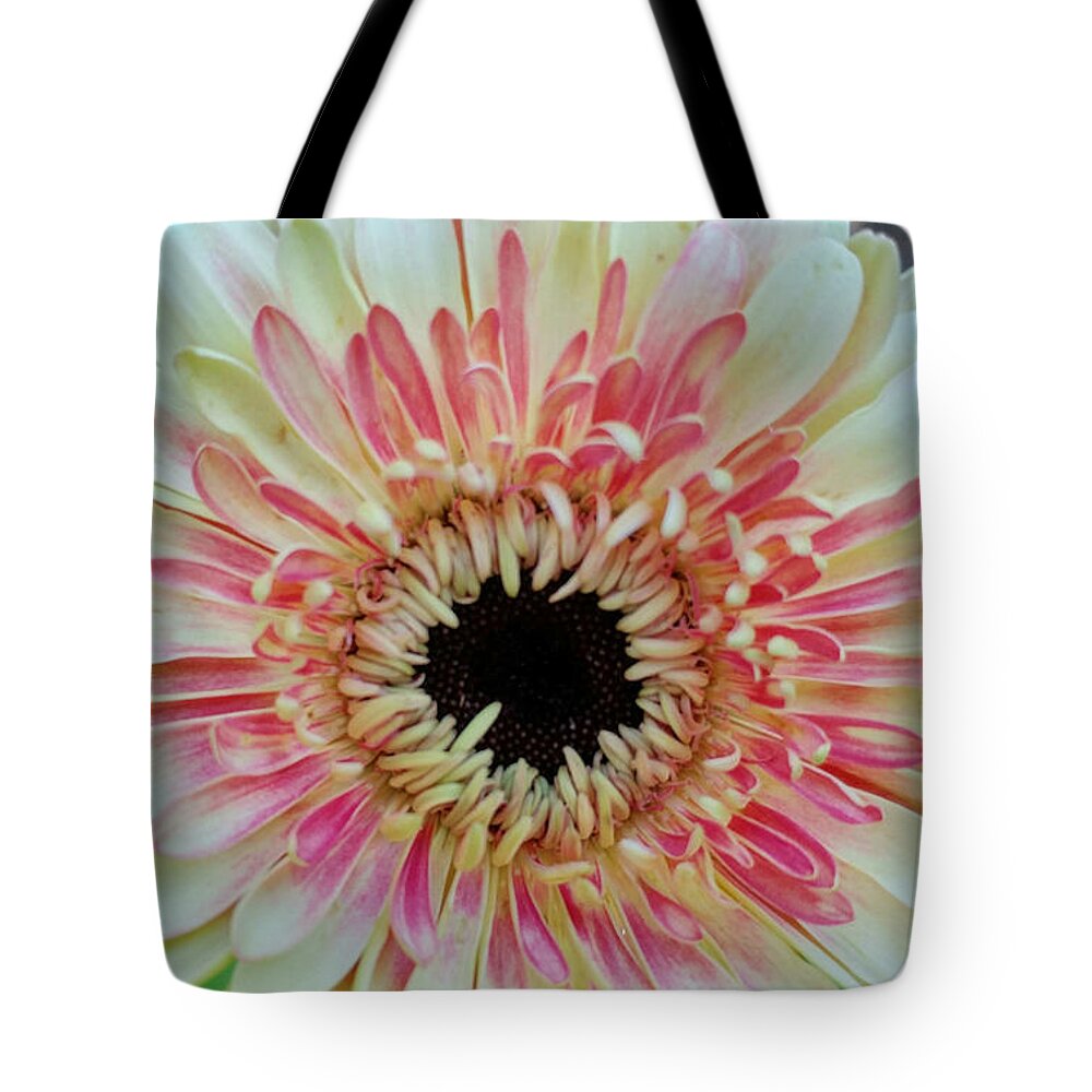 Flower Tote Bag featuring the photograph Refreshing by Kathy Barney