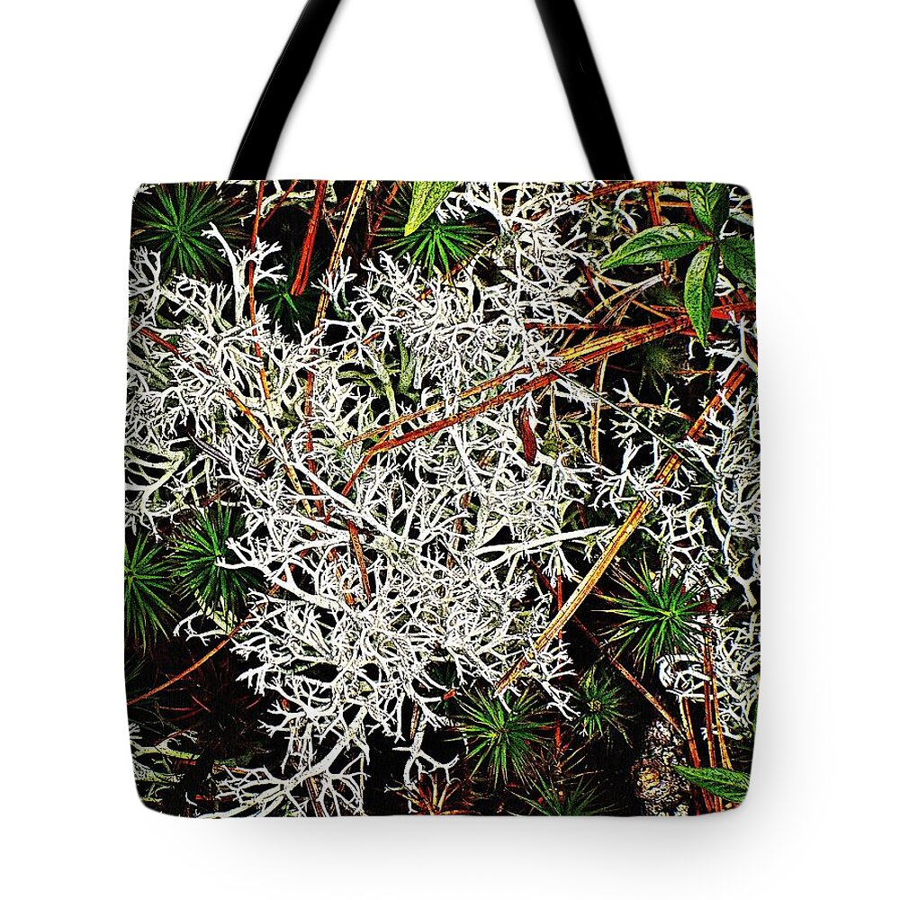 Reindeer Moss Tote Bag featuring the photograph Reindeer Moss by Joy Nichols