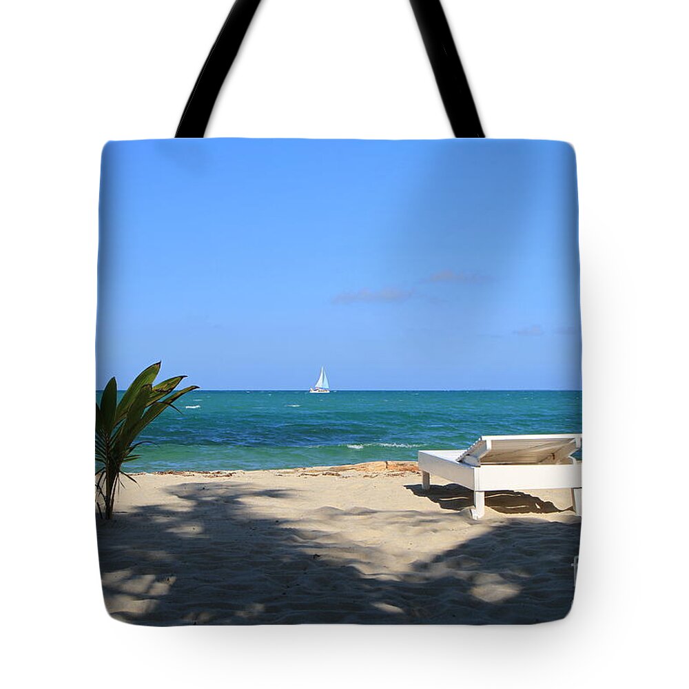 Beach Tote Bag featuring the photograph Relax and Enjoy by Edward R Wisell