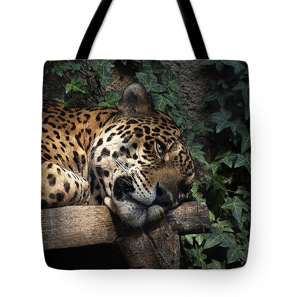 Big Cats Tote Bag featuring the photograph Relaxing by Ernest Echols