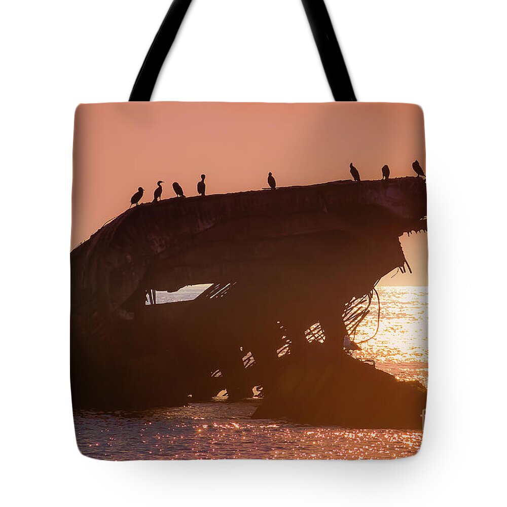 Cape May Tote Bag featuring the photograph Remains of the DAy by Colleen Kammerer