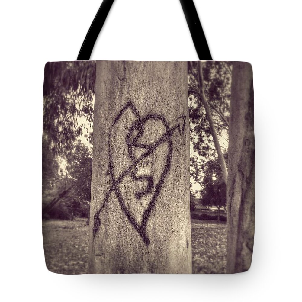 Tree Tote Bag featuring the photograph Remember When by Leah McPhail
