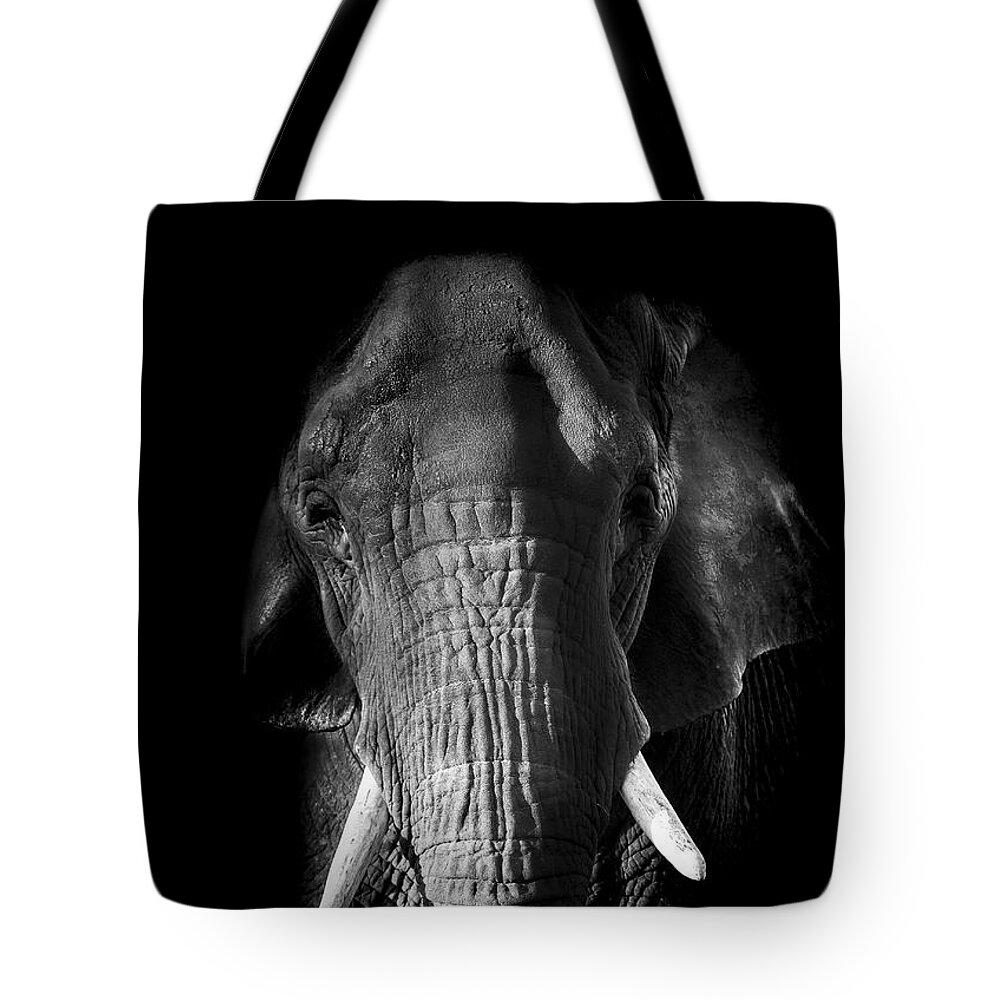 Elephant Tote Bag featuring the photograph Remembrance by Paul Neville