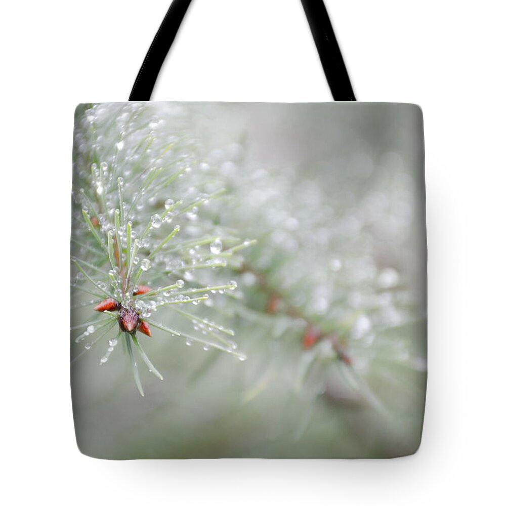 Christmas Tote Bag featuring the photograph Reminds me of Christmas by Kathy Paynter