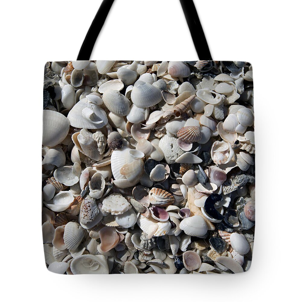 Sea Shells Tote Bag featuring the photograph Remnants by Terri Winkler