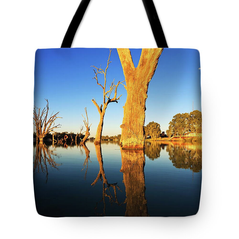 Murray River Renmark South Australia Landscape Australian Tote Bag featuring the photograph Renmark Murray River South Australia by Bill Robinson
