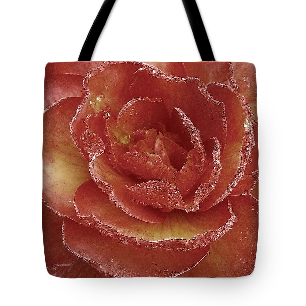 Flower Tote Bag featuring the photograph Renewal by Danielle R T Haney