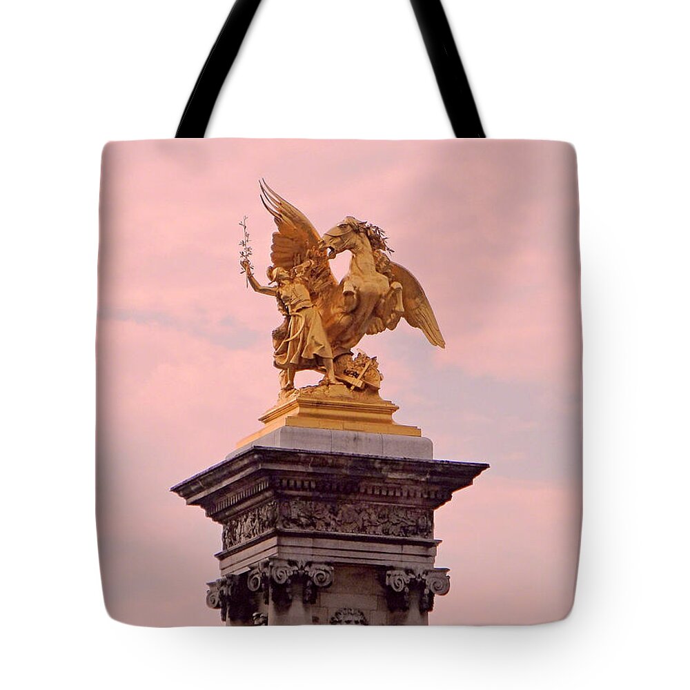 Renommee Des Sciences Tote Bag featuring the photograph Renommee des Sciences by Robert Meyers-Lussier