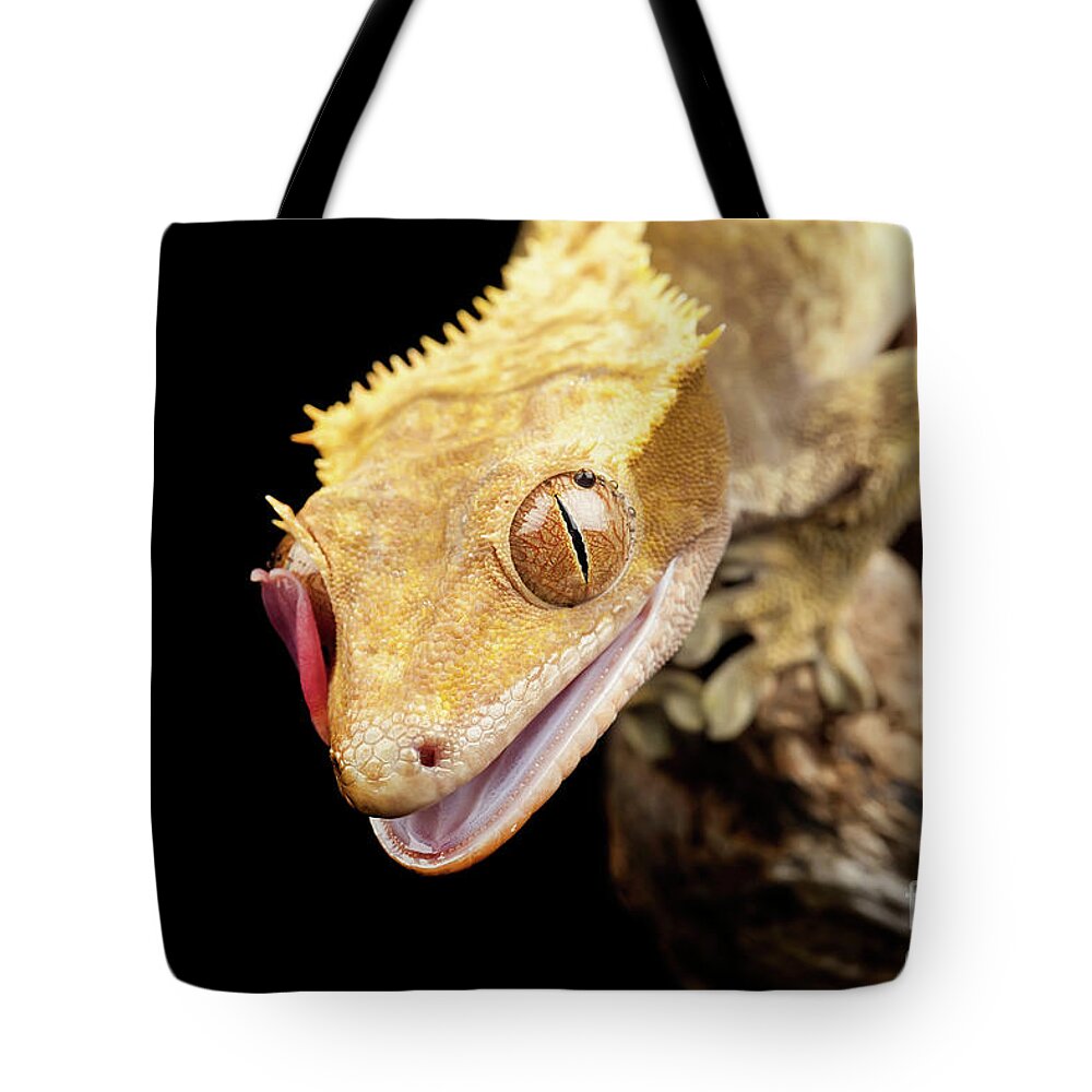 Abstract Tote Bag featuring the photograph Reptile close up with tongue by Simon Bratt