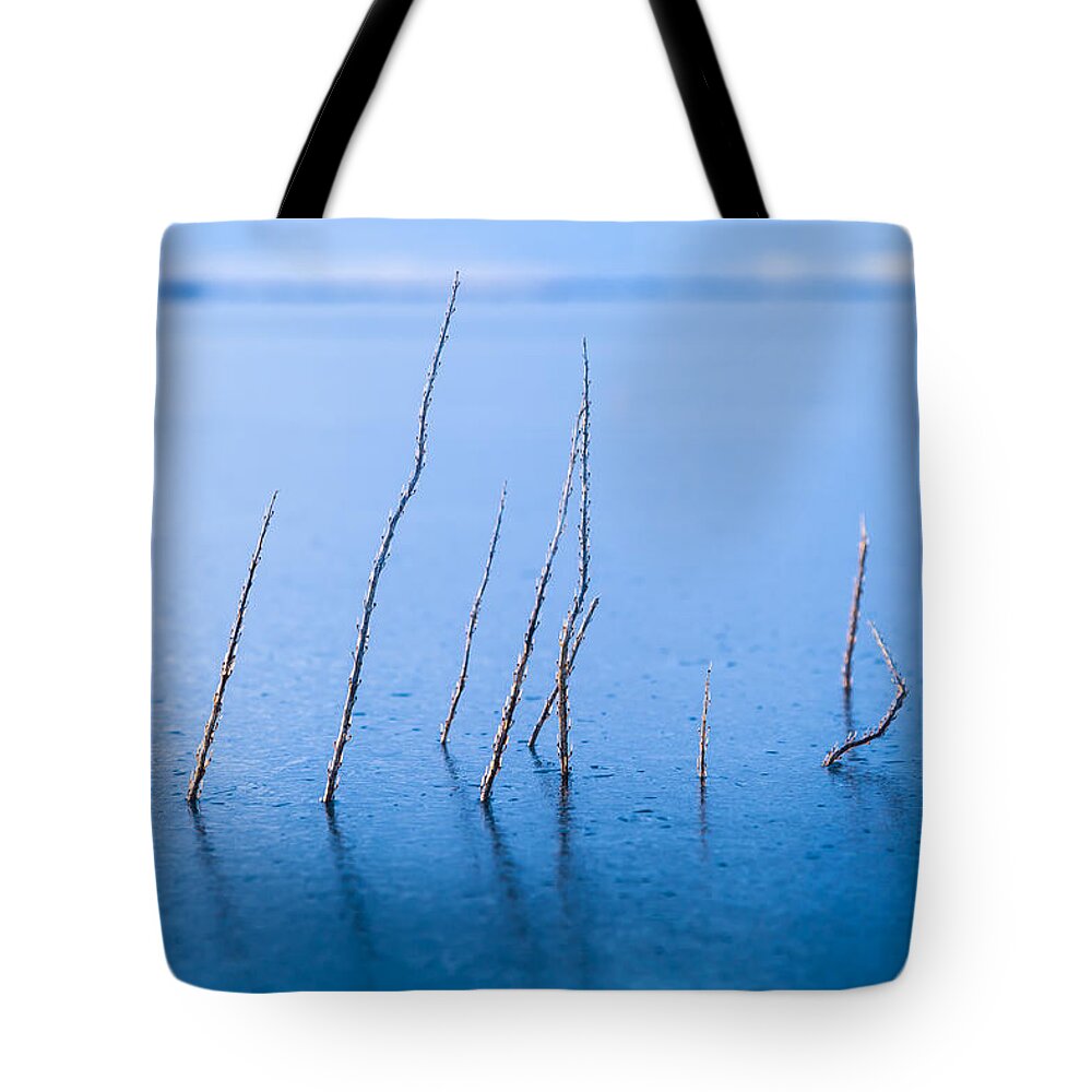 Alaska Tote Bag featuring the photograph Resilient by Scott Slone