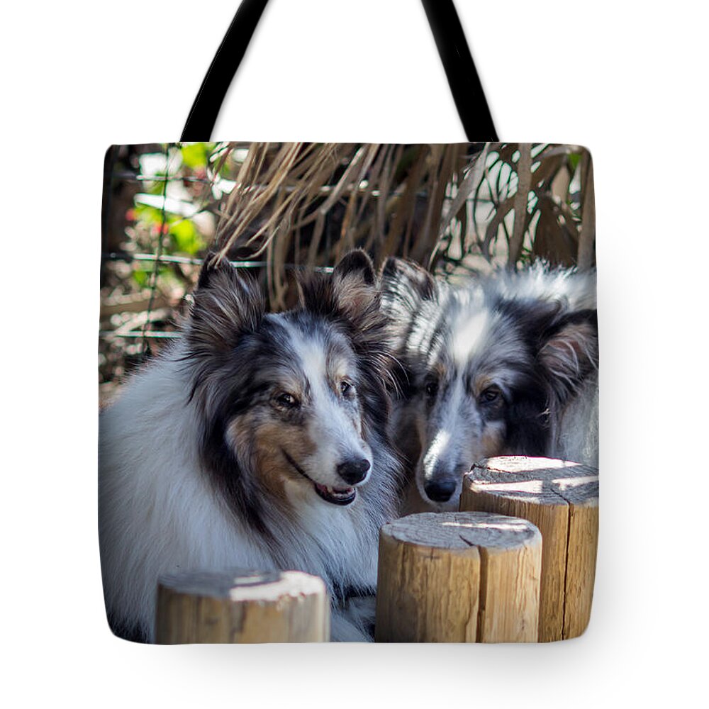 Play Tote Bag featuring the photograph Resting at the Beach by Shawn Jeffries