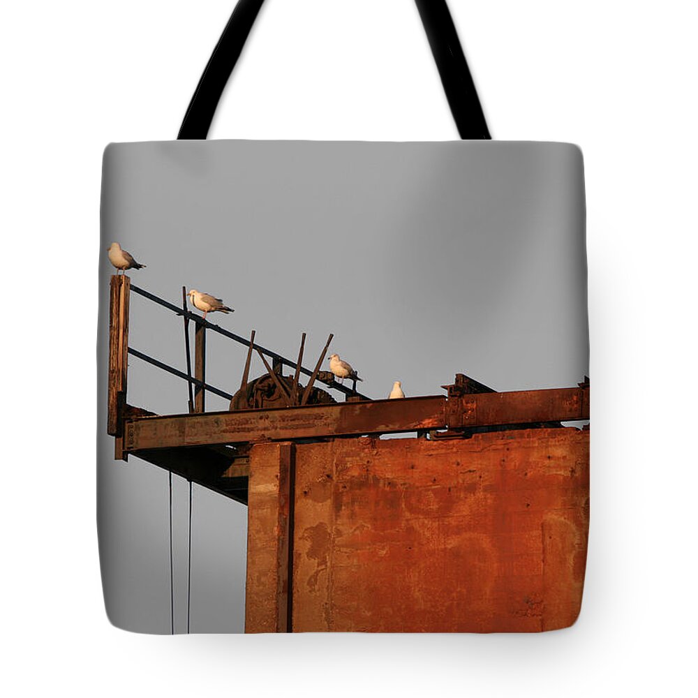 Color Desaturation Tote Bag featuring the photograph Rest by Dylan Punke