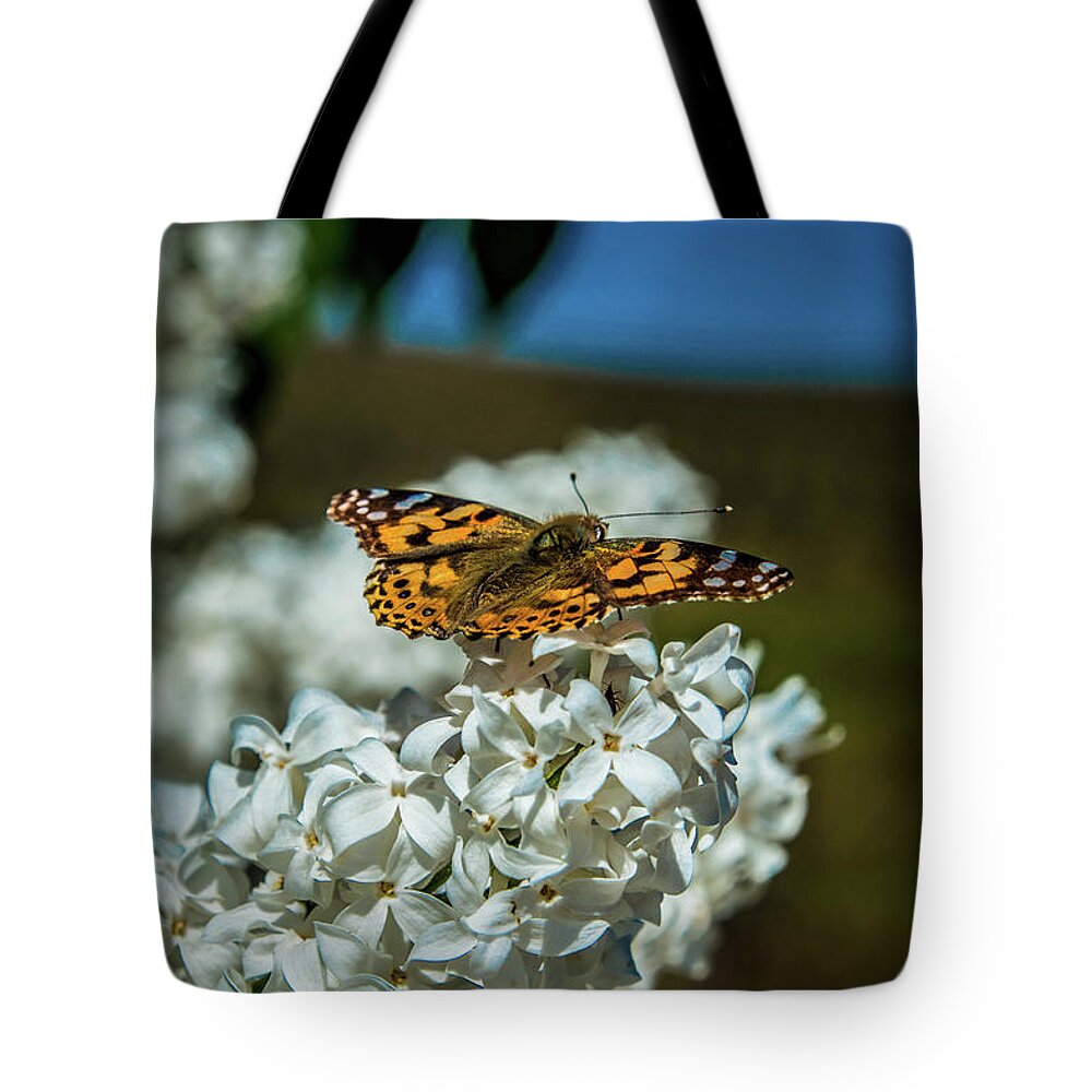Butterfly Tote Bag featuring the photograph Resting on the Lilac by Steph Gabler