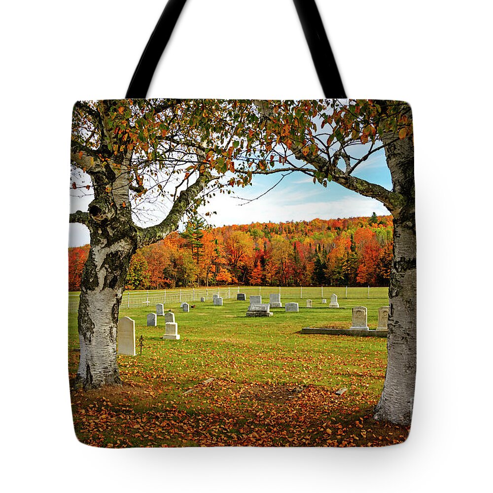 Resting Place Tote Bag featuring the photograph Resting Place by Alana Ranney