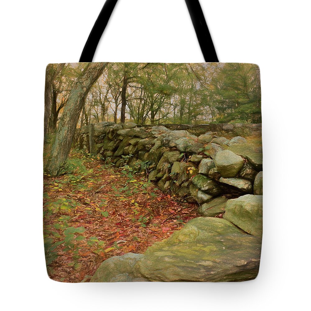 Stone Wall Tote Bag featuring the photograph Reverie with Stone by Nancy De Flon