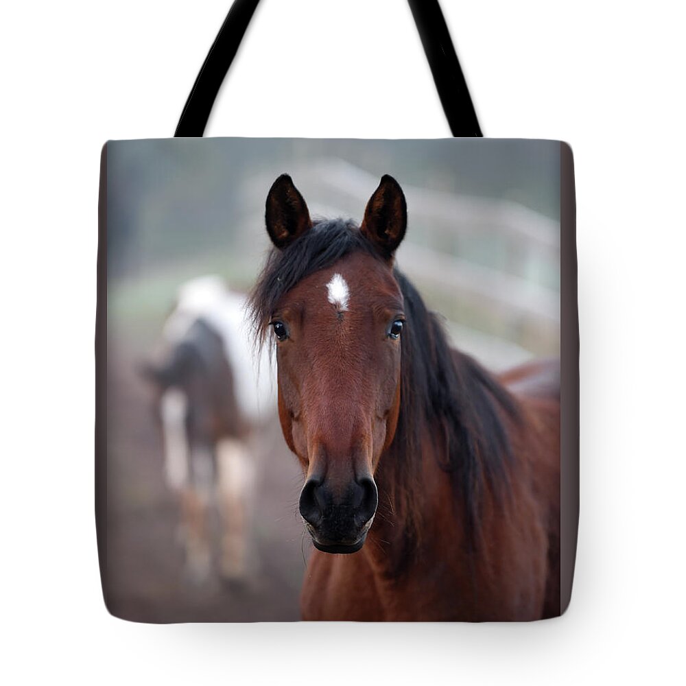 Rosemary Farm Tote Bag featuring the photograph Aimee by Carien Schippers