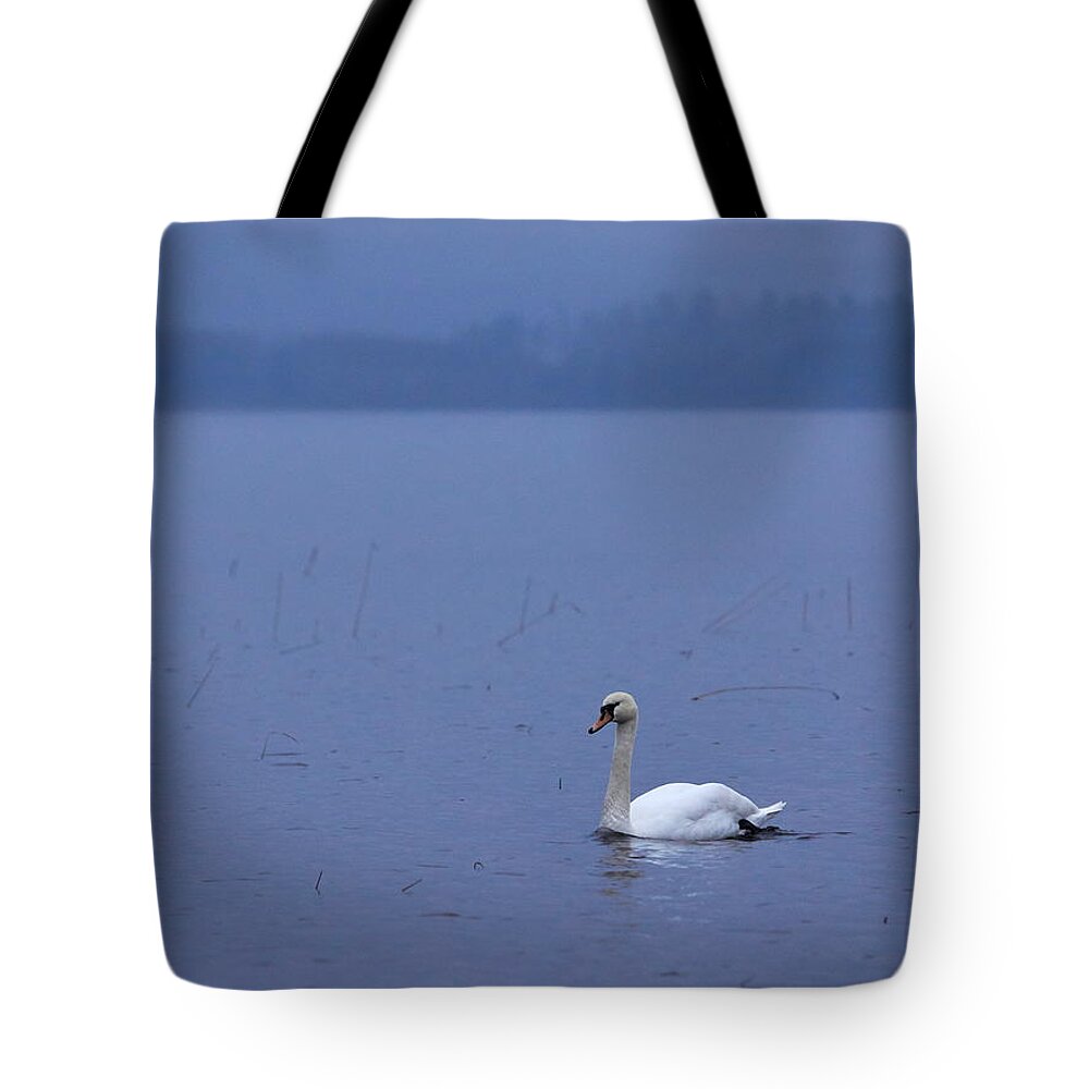 Finland Tote Bag featuring the photograph Rhapsody in Blue. Mute Swan by Jouko Lehto