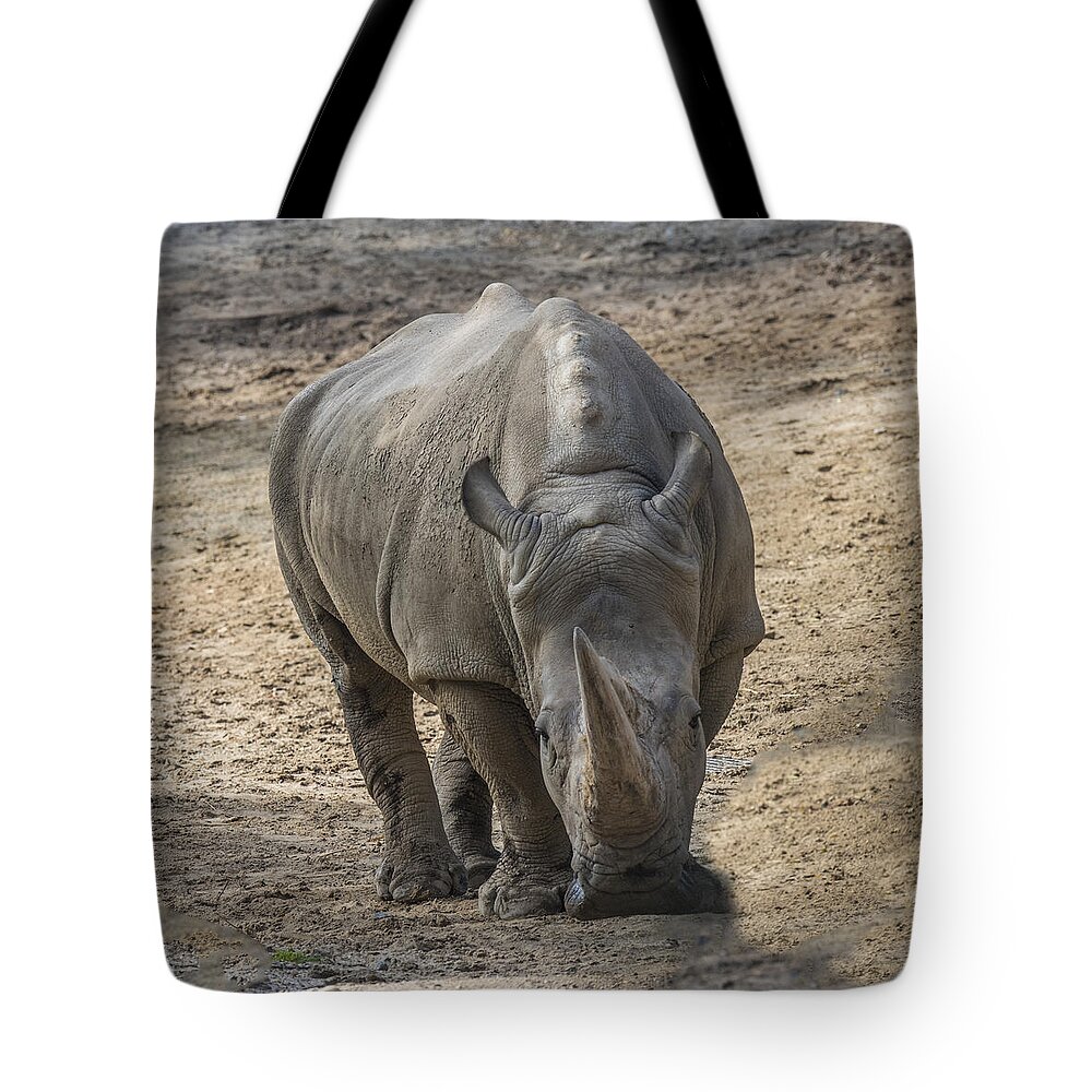 Rhinoceros Tote Bag featuring the photograph Rhino Walking Toward You by William Bitman