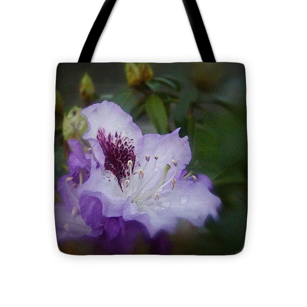 Rhododendron Tote Bag featuring the photograph Rhodo Romantico No. 2 by Richard Cummings