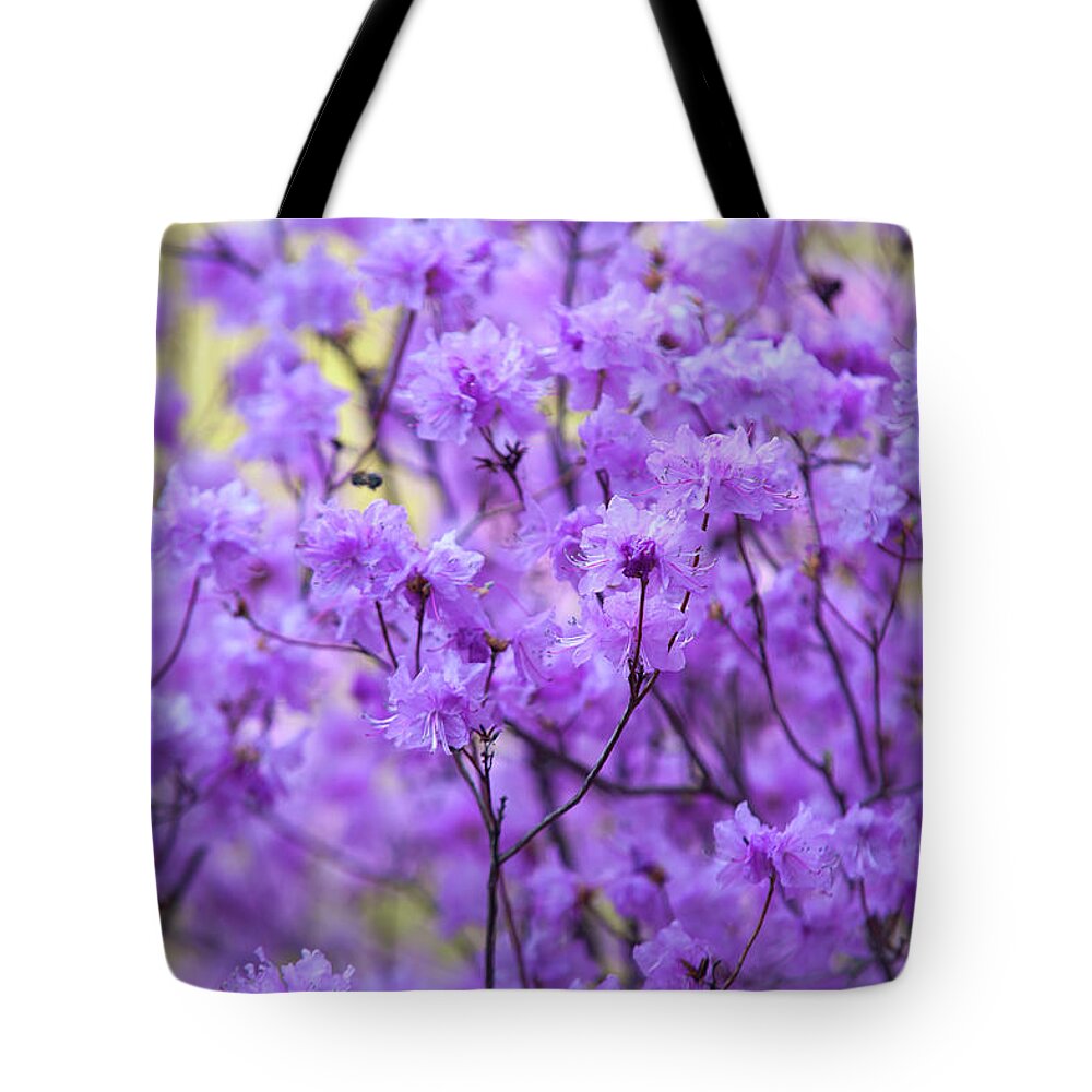 Jenny Rainbow Fine Art Photography Tote Bag featuring the photograph Rhododendron in Bloom. Spring Watercolors by Jenny Rainbow