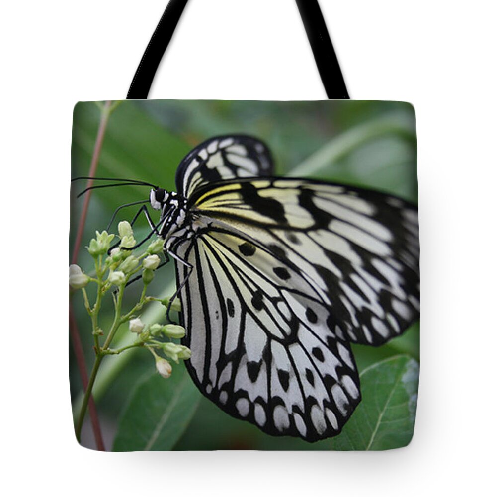 Laurie Lago Rispoli Tote Bag featuring the photograph Rice Paper Butterfly by Laurie Lago Rispoli