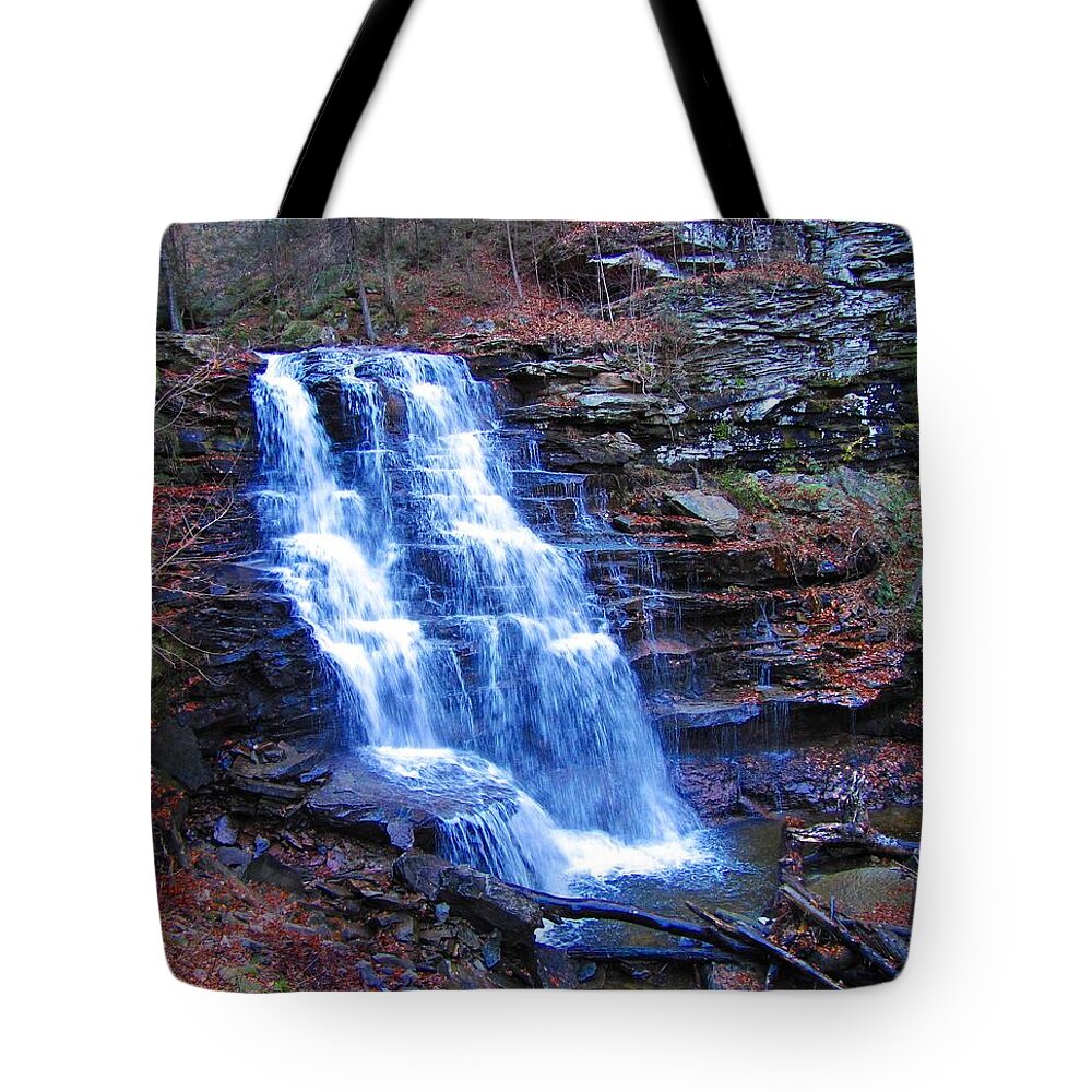 Ricketts Glen Tote Bag featuring the photograph Ricketts Glen Waterfall 3941 by David Dehner