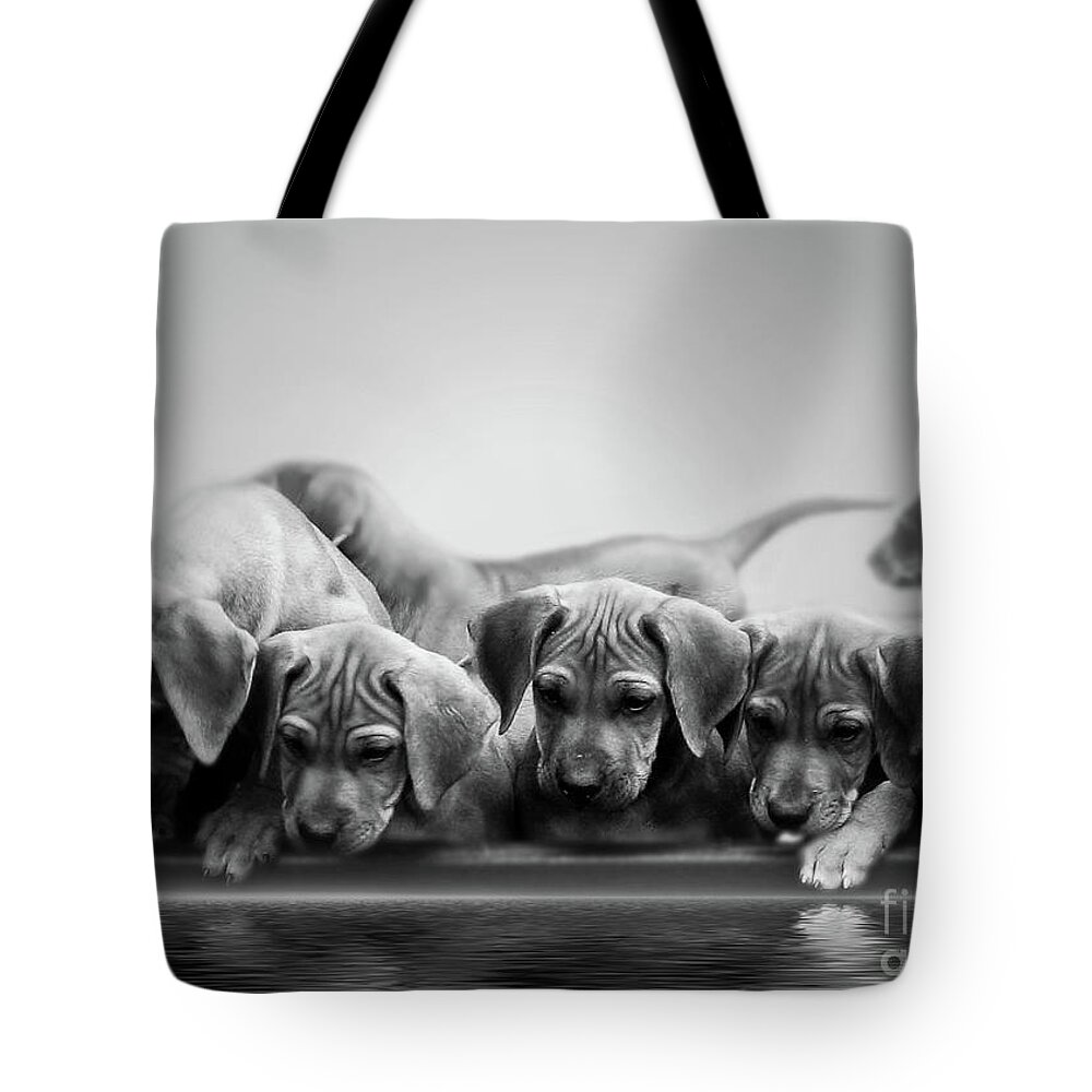 Puppy Tote Bag featuring the photograph Ridgeback Puppies by Mim White