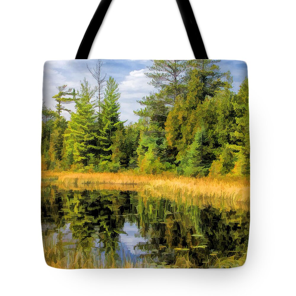 Door County Tote Bag featuring the painting Ridges Sanctuary Reflections by Christopher Arndt
