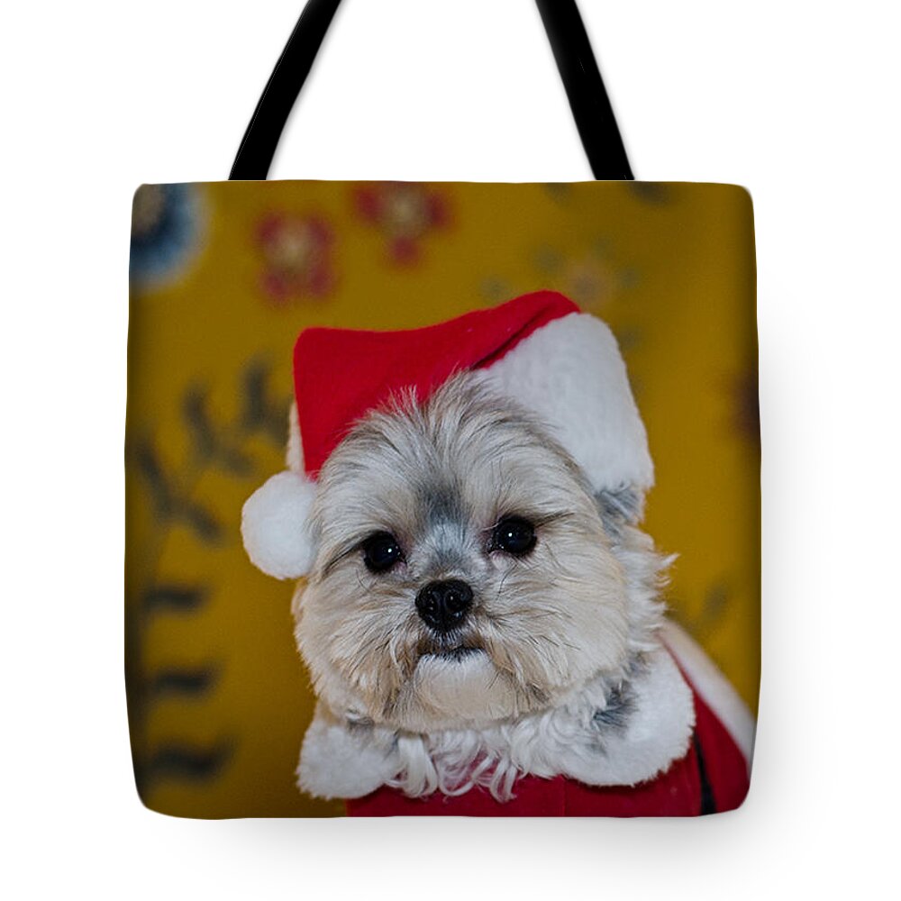 Dog Photography Tote Bag featuring the photograph Riki by Irina ArchAngelSkaya