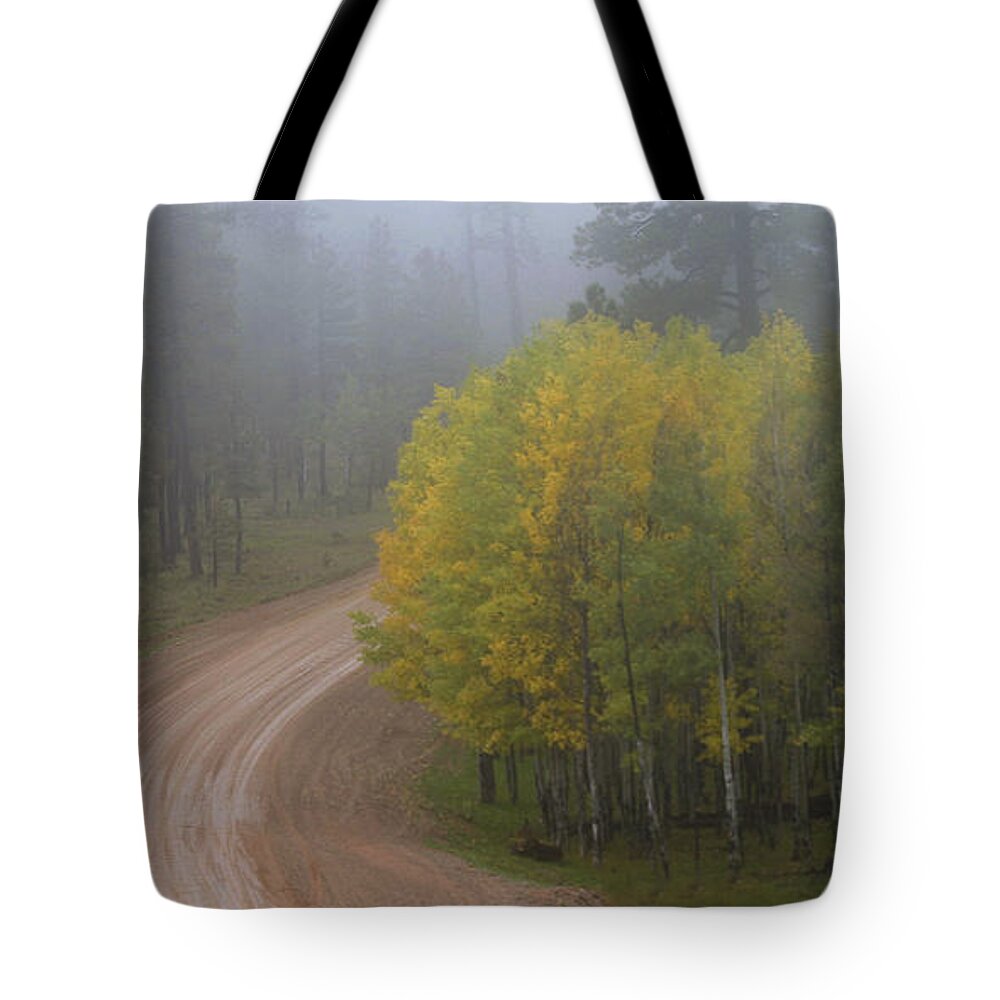 Autumn Tote Bag featuring the photograph Rim Road by Matalyn Gardner