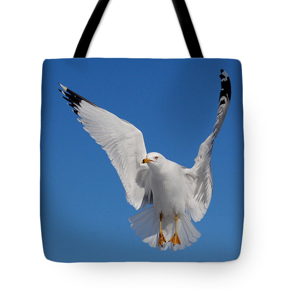 Animal Tote Bag featuring the photograph Ring billed gull in flight by Mircea Costina Photography