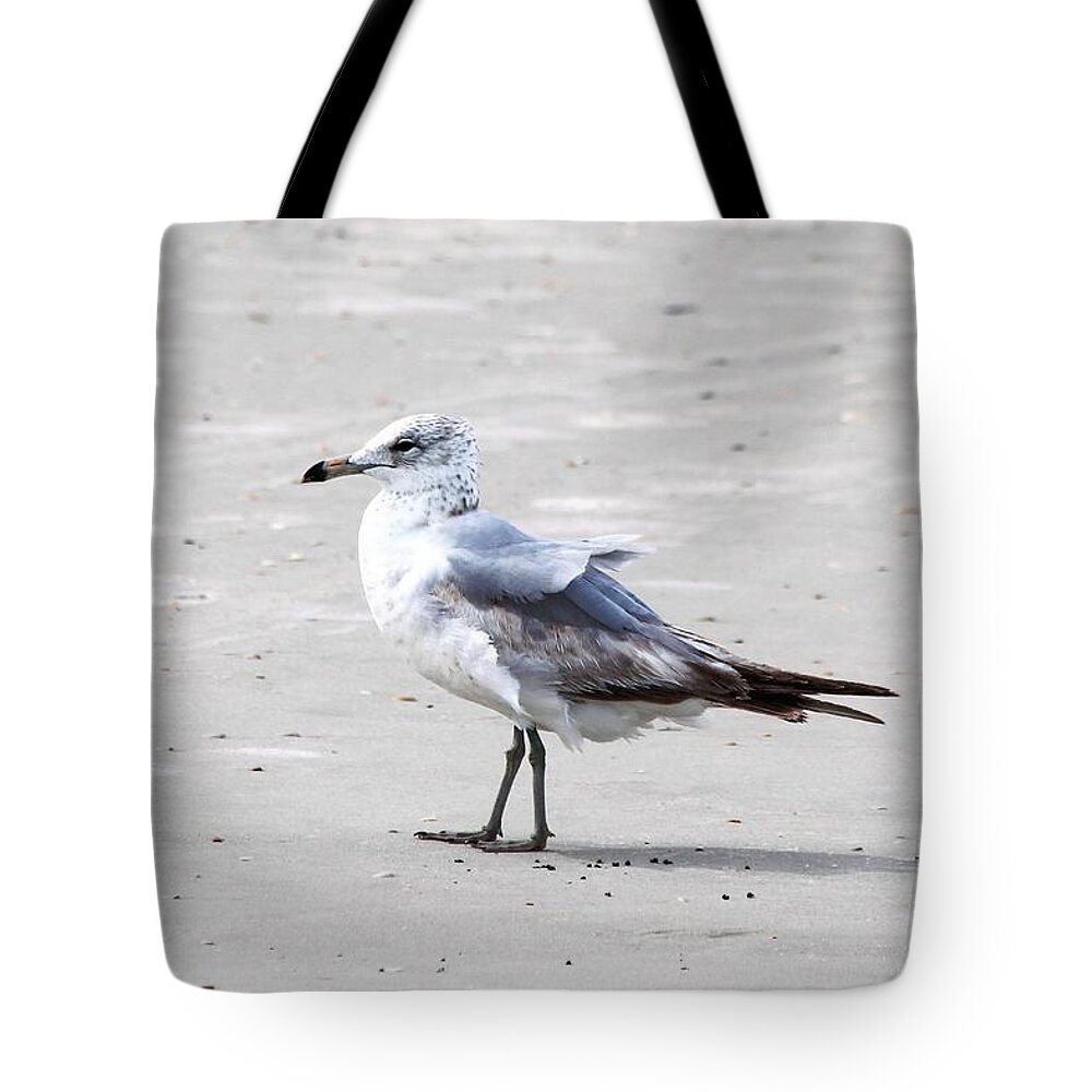Ring-billed Gull Tote Bag featuring the photograph Ring-Billed Gull by Mary Ann Artz