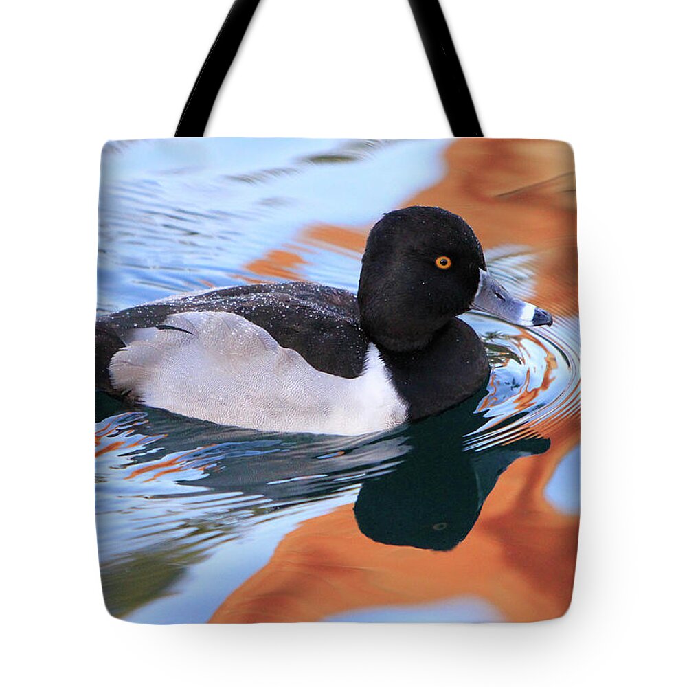 Ring-necked Duck Tote Bag featuring the photograph Ring-Necked Duck by Shoal Hollingsworth