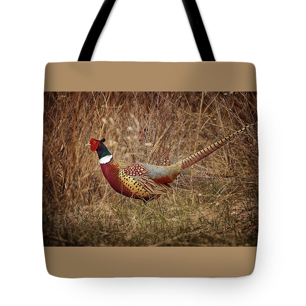 Pheasants Tote Bag featuring the photograph Ring Necked Pheasant by Susan Rissi Tregoning