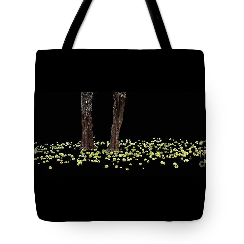 Horse Apple Trees Tote Bag featuring the photograph Ring Of Green by Joe Pratt