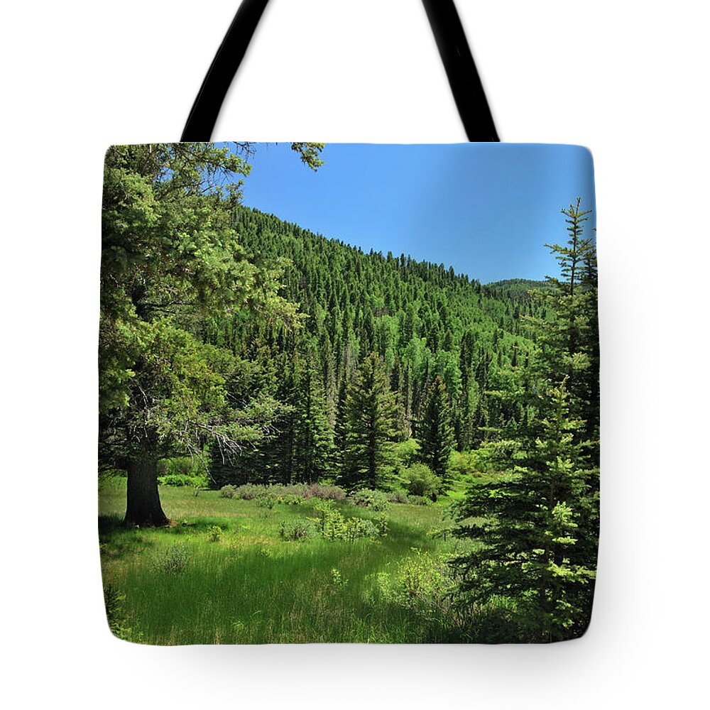 Landscape Tote Bag featuring the photograph Rio Chiquito Canyon by Ron Cline